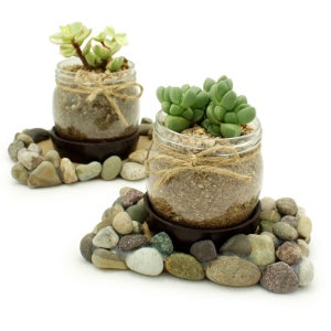 봄맞이 4개 다육식물 키우기 투명 미니 장독 화분만들기 DIY 키트 EC107229