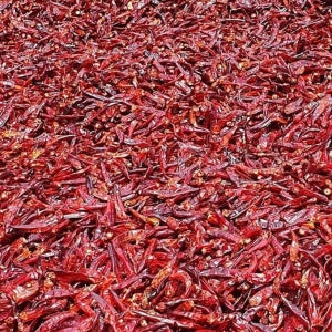 25년 햇고춧가루 예약 10근 (한 근당 600g) 농사짓는산이네 국산 100% 해남 김장용 보통맛 고추가루