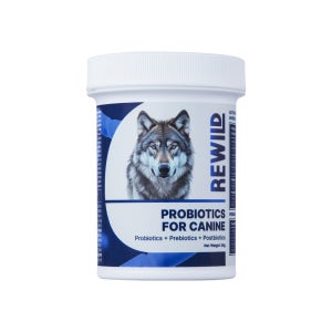 [4시 당일출고] 강아지 유산균 리와일드 프로바이오틱스 30g, 1개