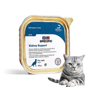 스페시픽 고양이 습식사료 FKW 처방식 신장 심장 간, 100g, 1개