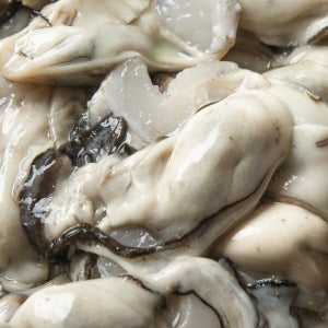 통영 생굴 철 제철 1kg