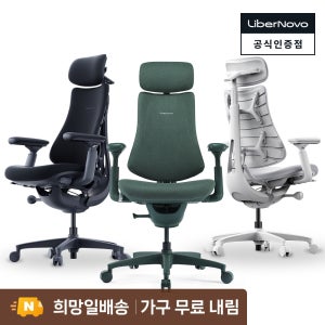 리버노보 옴니 인체공학 의자 사무용의자 LiberNovo Omni Space Gray