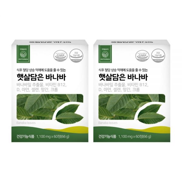 <b>파이토테크</b>햇살담은 햇살 바나바 분말 가루 추출물 햇쌀담은 후기 효능 효과