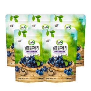 뉴뜨레 냉동 블루베리 1kg, 5개