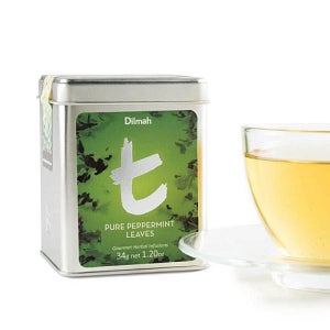 딜마 티시리즈 페퍼민트 틴