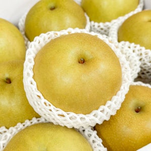 농가살리기 신품종 맛의 귀족 고당도 만풍배 10kg