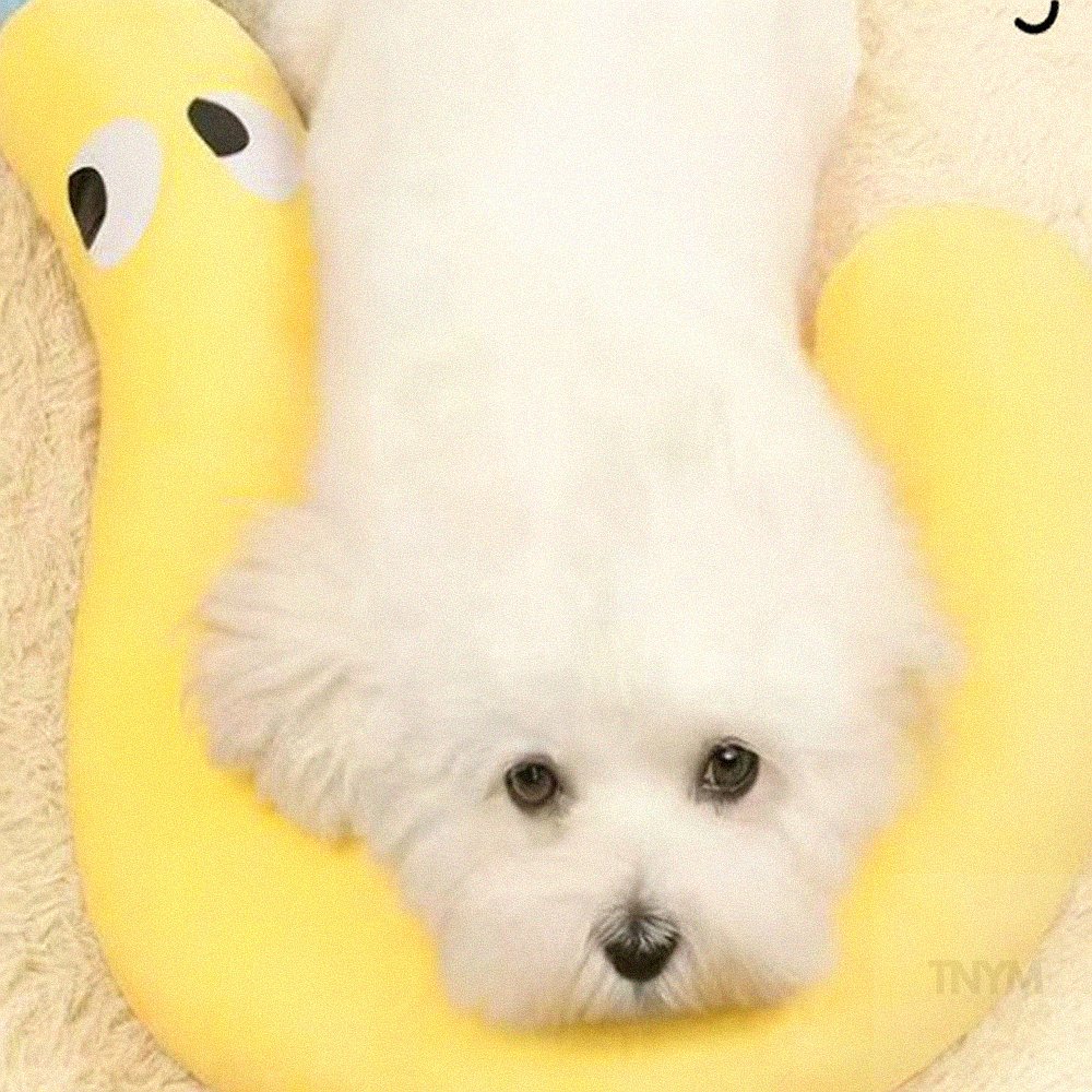 강아지 물음표 쿠션 L 애견베게 강아지목베개
