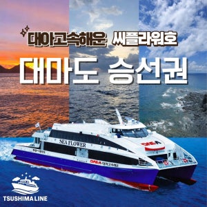 씨플라워호 대아고속 배편 빠른확정 부산 대마도여행 당일치기 히타카츠 이즈하라 쓰시마라인