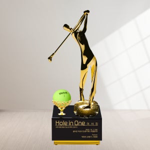 상패타운 나의트로피 홀인원패 이글패 싱글패 골프트로피 HW507