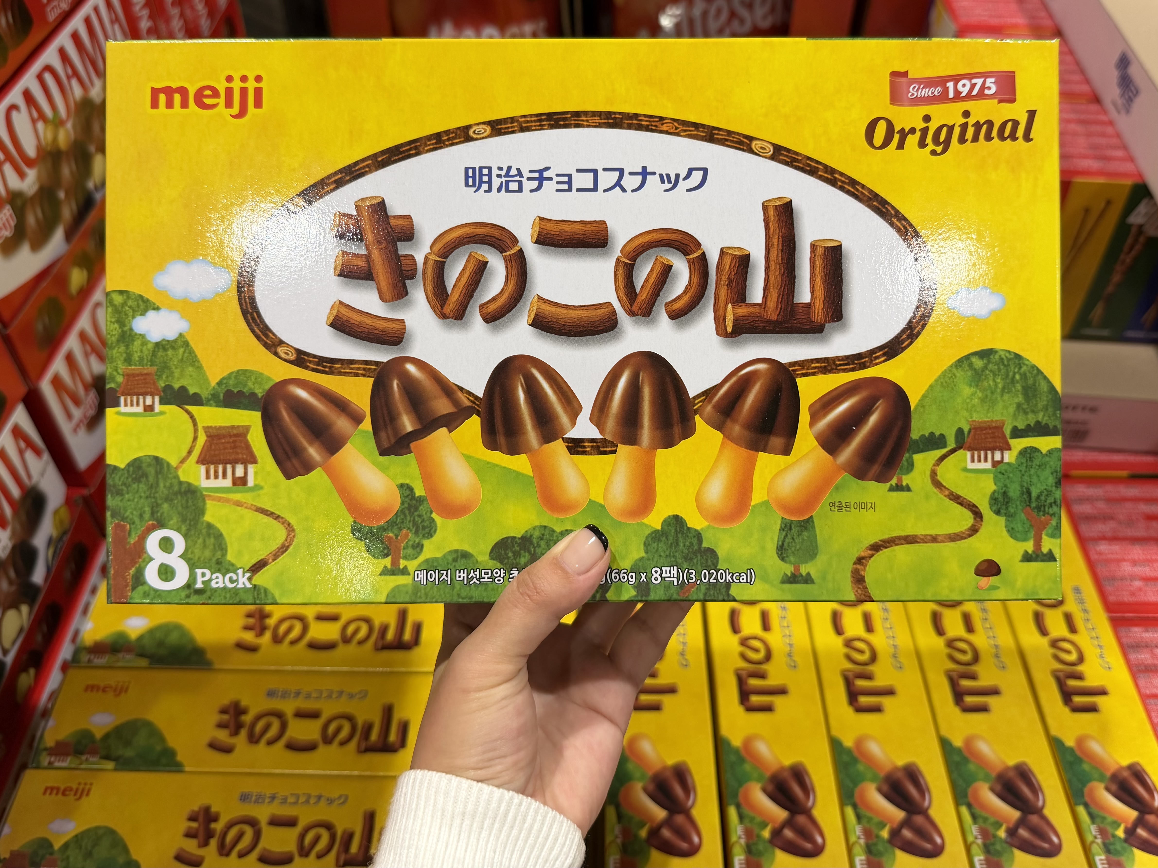 키노코노야마 일본초코송이 일본과자