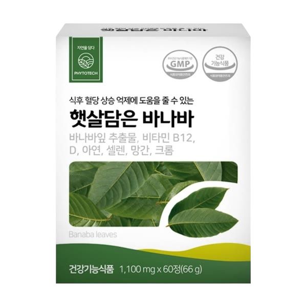 <b>파이토테크</b>햇살담은 햇살 바나바 분말 가루 추출물 햇쌀담은 후기 효능 효과