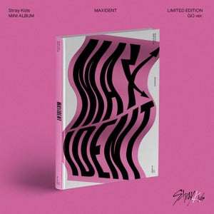 한정반 스트레이키즈 미니앨범 MAXIDENT GO ver 스키즈
