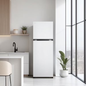 [전국무료배송설치] LG 디오스 241L 소형 냉장고 B245W22 (화이트) 미니 소형 중형 원룸 오피스텔 사무실 냉장고