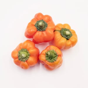 유기농 못난이 파프리카 1kg