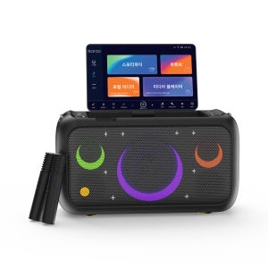 100W 휴대용 가정용 노래방기계 반주기 무선 마이크 Break X1