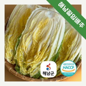 직접키운 HACCP 해썹 해남절임배추 20kg