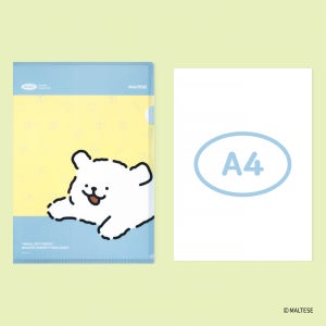 몰티즈 L 홀더 파일 화일 서류 문서 프린트 스카이블루