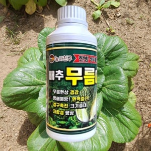 배추 무름병 농약 무 무름 방지 결구 속썩음 썩음병 약 500ml