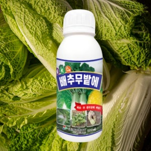 배추 무름병 농약 무 무름 방지 결구 속썩음 썩음병 약 500ml
