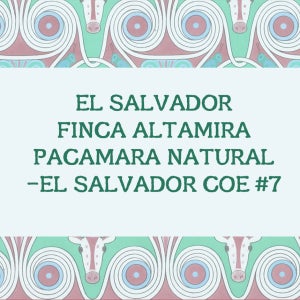 (커피생두) 123 엘살바도르 핀카 알타미라 파카마라 내추럴-엘살바도르 COE2025 7위 5kg