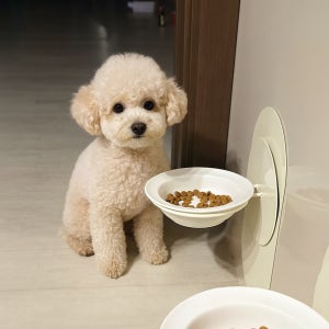 강아지밥그릇 물그릇 높이조절 도자기 식기 받침대 고양이밥그릇