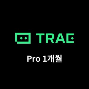TRAE Pro 1개월 cursor replit 클로드코드 코파일럿
