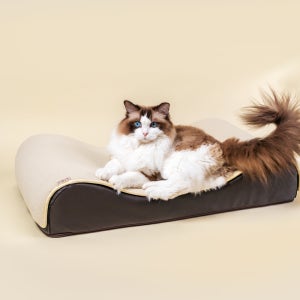 따스넉 킹베드스크래쳐 대형 고양이 소파 침대 방석 쿠션 쇼파