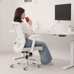 핏쳐 허리편한 와이드 요추지지대 메쉬 데스크 체어 컴퓨터 사무용 책상 의자 CB1