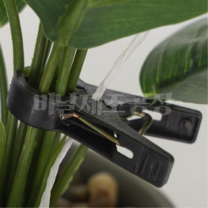 고추집게 호박 토마토집게,오이 작물 줄기 유인 고정 비닐하우스 1번100개