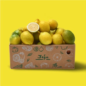 더모닝제주 레몬 제주 농장 산지직송 착즙용 1.5kg 2.5kg 4.5kg 9kg