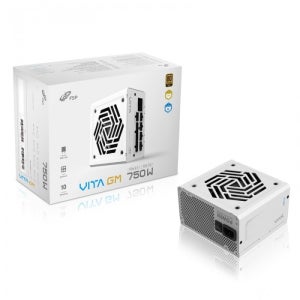 FSP VITA GM 750W 80PLUS골드 ATX 3.1 화이트
