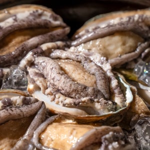 국산 완도 활 전복 1kg 사이즈별 10미-17미 산소포장 산지직송 선물