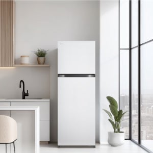 [전국설치] LG 일반냉장고 B245W22 241L 2등급 사무실 원룸 오피스텔