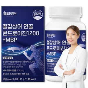 6형콘드로이친 철갑상어 콘드로이친 6형 콘도로이친 철갑상어 콘드로친 60정, 1개