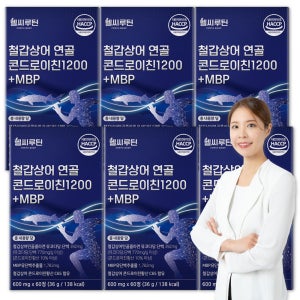 6형콘드로이친 철갑상어 콘드로이친 6형 콘도로이친 철갑상어 콘드로친 60정, 6개