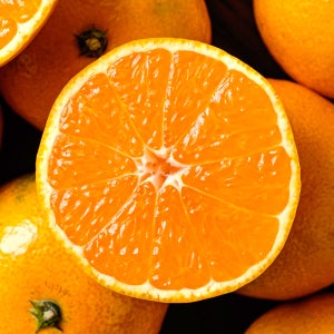 제주의 햇살을 가득 담은 타이벡 감귤 10kg