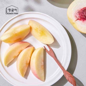 설아복숭아 1.7kg(4-8과) [못난이] 겨울 백도 고당도 아삭 달콤 쫀득 산지직송 설리 설아 복숭아 1.7kg, 1개