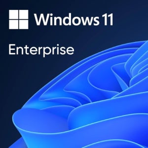 [마이크로소프트] Windows 11 IoT LTSC 2024 Enterprise Value