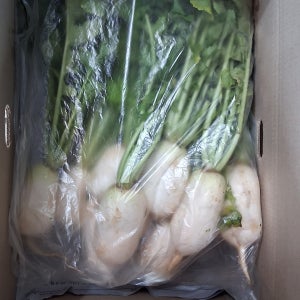 [서진농장]여수 생 알타리무 3kg