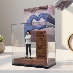 여성 3D의사피규어 선물세트 정년 퇴직 공로 환갑 개업선물 상패 기념패 17cm피규어