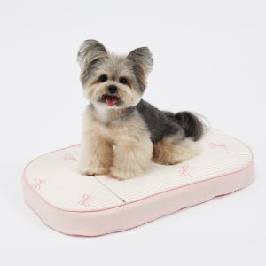 플리앙 유모차 커버업 쿠션 (커버분리형) 에어코일 핑크, M