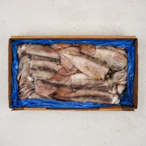 국내산 냉동 오징어 6kg(3kg x 2박스) 통오징어 살오징어 대용량