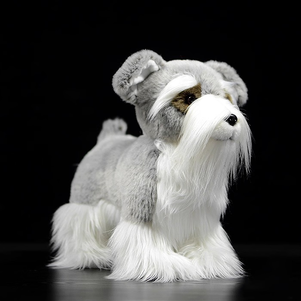 미니어처 슈나우저 (Miniature Schnauzer)
