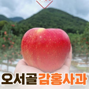 득이농원 문경사과 오서골 햇 감홍사과