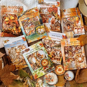 호박빛 오후 빈티지 PET 다꾸 조각 스티커 6B2