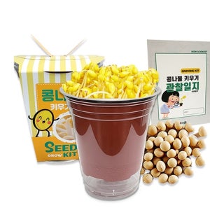 봄맞이 관찰일지 3인용 콩나물 재배키트 식물키우기 생태수업 체험활동 D10451-3