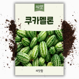 쿠카멜론씨앗 10립 멕시코오이 미니수박 이색 미니 오이 씨앗 종자