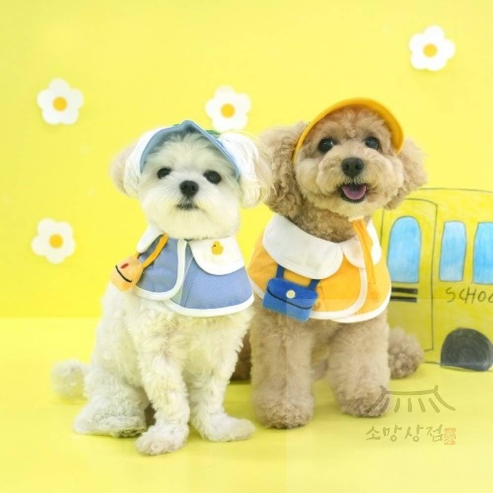 소망상점 패리스독 유치원 케이프&모자세트 애견악세사리 강아지넥카라 강아지케이프