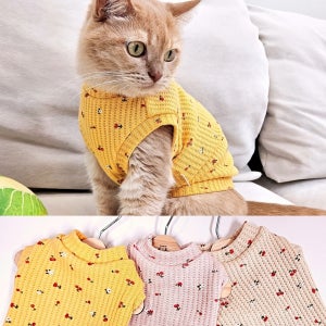 아리캣 고양이 옷 봄 실내복 기본 크롭 티셔츠 포근한 체리 와플티