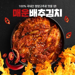경자네 전라도 국산 청양 실비 매운 배추 포기김치 5kg, 1개